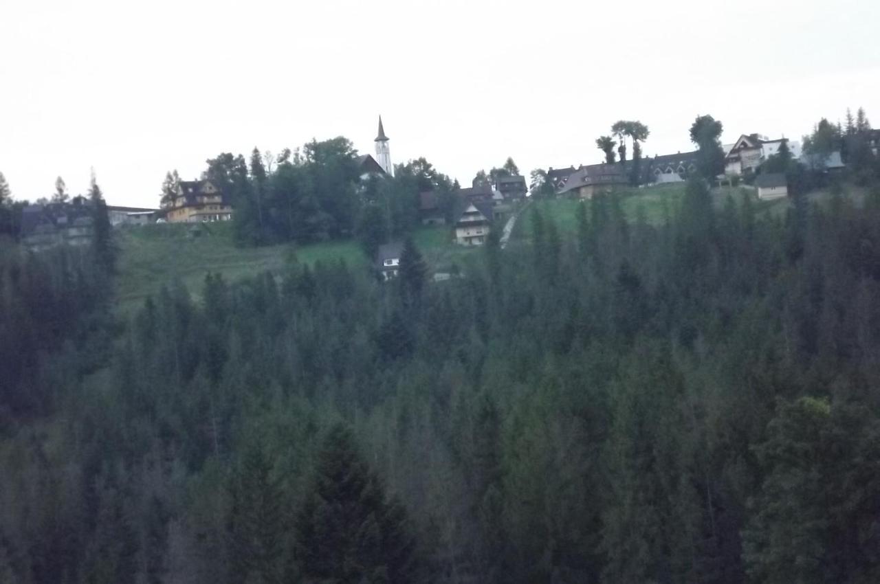 Prymulka Hotel Закопане Екстериор снимка